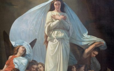 L’Immacolata: il punto di luce da cui Dio riapre la storia